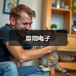 晨翔电子（图3）