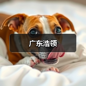 广东浩领