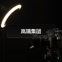 岚瑞集团(图1) 岚瑞集团(图1)