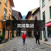 岚瑞集团(图4) 岚瑞集团(图4)