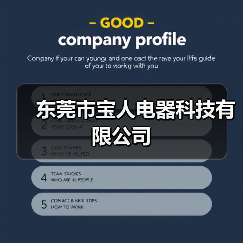 东莞市宝人电器科技有限公司（图1）