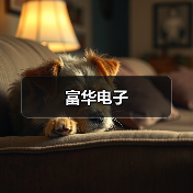 富华电子 富华电子