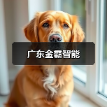 广东金霸智能（图3）