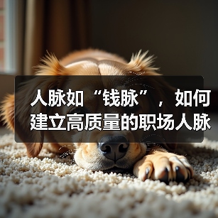 人脉如“钱脉”,如何建立高质量的职场人脉?(图2) 人脉如“钱脉”,如何建立高质量的职场人脉?(图2)