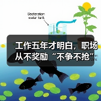 工作五年才明白，职场从不奖励“不争不抢”的人（图2）