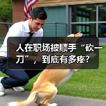 人在职场被顺手“砍一刀”,到底有多疼?(图4) 人在职场被顺手“砍一刀”,到底有多疼?(图4)