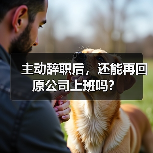 主动辞职后,还能再回原公司上班吗?(图4) 主动辞职后,还能再回原公司上班吗?(图4)
