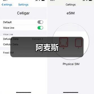 阿麦斯（图3）