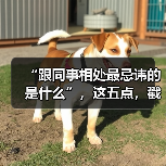 “跟同事相处最忌讳的是什么”,这五点,戳中了无数打工人的痛点……(图2) “跟同事相处最忌讳的是什么”,这五点,戳中了无数打工人的痛点……(图2)