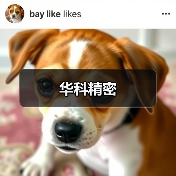 华科精密（图3）