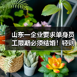 山东一企业要求单身员工限期必须结婚！轻则写检讨重则离职！多方回应（图1）