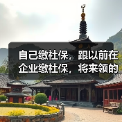 自己缴社保，跟以前在企业缴社保，将来领的待遇一样吗？（图3）
