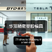 华顶精密塑胶模具（图1）