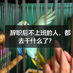 辞职后不上班的人,都去干什么了?(图4) 辞职后不上班的人,都去干什么了?(图4)