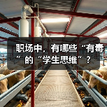 职场中,有哪些“有毒”的“学生思维”?(图2) 职场中,有哪些“有毒”的“学生思维”?(图2)