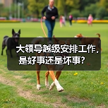 大领导越级安排工作,是好事还是坏事?(图2) 大领导越级安排工作,是好事还是坏事?(图2)