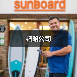 韬略公司（图1）