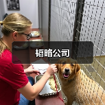 韬略公司（图2）