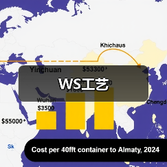 WS工艺（图3）