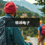 维峰电子（图2）