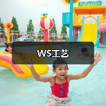 WS工艺（图1）