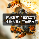 苏州发布 “三百工程”实施方案:三年新增百万人才!(图4) 苏州发布 “三百工程”实施方案:三年新增百万人才!(图4)