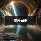 华志光电（图4）