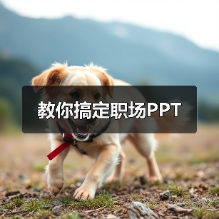 教你搞定职场PPT（图1）