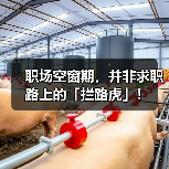 职场空窗期,并非求职路上的「拦路虎」!(图1) 职场空窗期,并非求职路上的「拦路虎」!(图1)