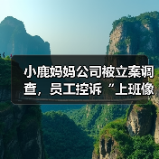 小鹿妈妈公司被立案调查,员工控诉“上班像坐牢”(图3) 小鹿妈妈公司被立案调查,员工控诉“上班像坐牢”(图3)