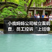 小鹿妈妈公司被立案调查,员工控诉“上班像坐牢”(图2) 小鹿妈妈公司被立案调查,员工控诉“上班像坐牢”(图2)