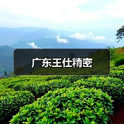 广东王仕精密（图2）