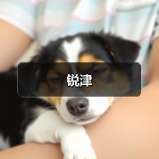 锐津（图1）