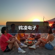 锦凌电子（图3）