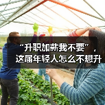 “升职加薪我不要”，这届年轻人怎么不想升职了？（图3）