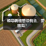 领导跳槽想带我去,要跟吗?(图1) 领导跳槽想带我去,要跟吗?(图1)