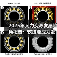 2025年人力资源发展趋势报告：软技能成为发展和组织成功的关键（图2）