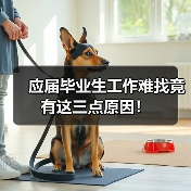 应届毕业生工作难找竟有这三点原因!(图4) 应届毕业生工作难找竟有这三点原因!(图4)