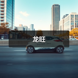 龙旺（图4）