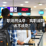 职场回头草：离职返聘该不该吃？（图3）