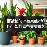 面试被问“有其他offer吗”如何回答更显优势?(图2) 面试被问“有其他offer吗”如何回答更显优势?(图2)