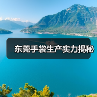 东莞手袋生产实力揭秘（图4）