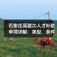 石家庄高层次人才补助申领详解:类型、条件与流程全攻略(图3) 石家庄高层次人才补助申领详解:类型、条件与流程全攻略(图3)