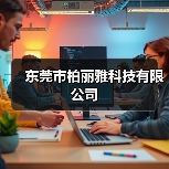 东莞市柏丽雅科技有限公司（图3）