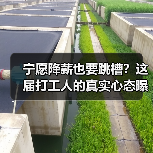 宁愿降薪也要跳槽？这届打工人的真实心态曝光（图1）