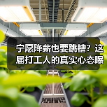宁愿降薪也要跳槽？这届打工人的真实心态曝光（图4）