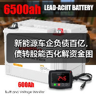 新能源车企负债百亿，债转股能否化解资金困局？（图4）