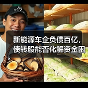 新能源车企负债百亿，债转股能否化解资金困局？（图1）
