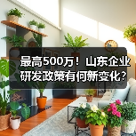 最高500万！山东企业研发政策有何新变化？（图1）