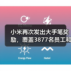小米再次发出大手笔奖励,覆盖3877名员工和供应商(图4) 小米再次发出大手笔奖励,覆盖3877名员工和供应商(图4)